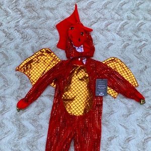 NWT Pottery Barn Kids Baby Dragon Costume